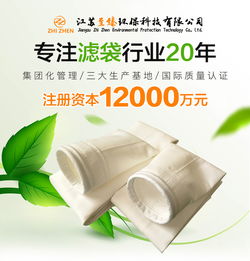 氟美斯濾袋 江蘇至臻環保 氟美斯濾袋報價高清圖片 高清大圖