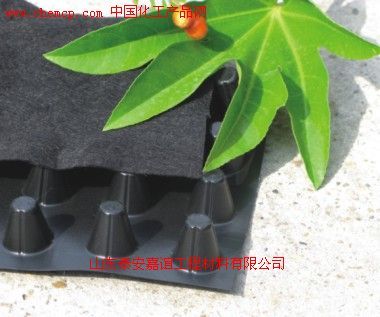 定西玻纖土工格柵廠家18769852682高清圖片_產(chǎn)品圖_樣板圖 - 中國化工產(chǎn)品網(wǎng)